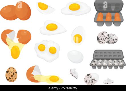 Cartoon Farm frisches Hühnchen und Wachteleier in Packungen. Gebrochenes, rohes, gebratenes und hart gekochtes Ei zur Hälfte mit Eigelb. Eier zum Frühstück Vektorset. Gesunde Ernährung, Mahlzeit oder Gericht mit Protein Stock Vektor