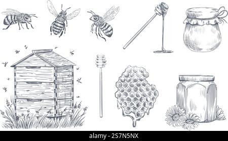 Honigbienen-Gravur. Handgezogene Bienenzucht, Vintage-Honigfarm und Honigbienenpollen. Insektenbienenzeichnung, Honigwaben- und Bio-Blumennektargläser. Vektorabbildung isolierte Symbole gesetzt. Honigbienen-Gravur. Hand gezeichnete Imkerei, Vintage Honigfarm und Honigbiene Pollen Vektor Illustration Set Stock Vektor