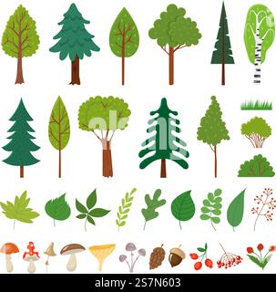 Waldbäume. Waldbaum, wilde Beeren Pflanzen und Pilze. Wälder mit floralen Elementen oder botanischen Ikonen aus Holz, Kiefer-Birken, Pilze und verschiedene Blätter. Isolierter Vektor-Vorzeichensatz. Waldbäume. Waldbaum, wilde Beeren Pflanzen und Pilze. Wald florale Elemente Vektor-Set Stock Vektor