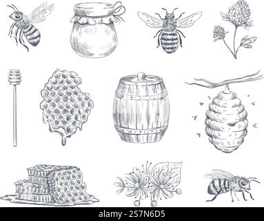 Bienengravur. Honigbienen, Bienenzucht und Honigwaben Vintage handgezeichnete Tinte Logo. Honiglöffel oder -Gefäß, Bienenstock und Wespeninsekte graviert. Vektorabbildung isolierter Symbolsatz. Bienengravur. Honigbienen, Imkerei Farm und Honigwabenvintage handgezeichnete Vektor Illustration Set Stock Vektor