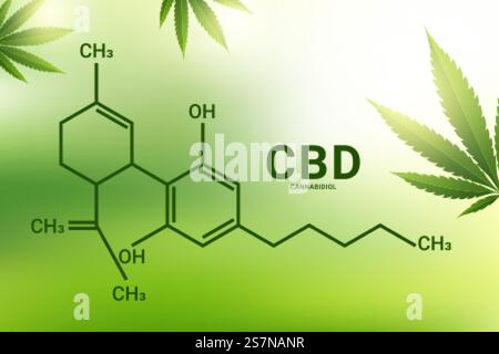 cbd-Formel. Cannabidiol-Molekülstrukturverbindung Stock Vektor