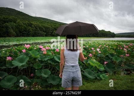 Eine junge Russin mit einem Regenschirm steht allein an einem Lotussee unter einem bewölkten Himmel, symbolisiert Einsamkeit, Melancholie und die Stimmung des Reisens Stockfoto