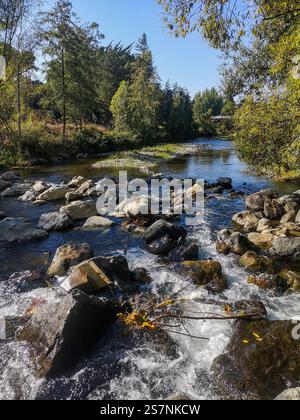 Ein Abschnitt des Waipoua River, der durch Masterton, Wellington Region, Neuseeland fließt Stockfoto