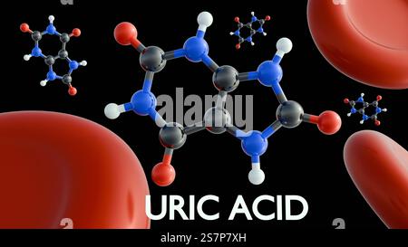 3D-Rendering von Harnsäuremolekülen und roten Blutkörperchen. Eine Hyperurikämie tritt auf, wenn zu viel Harnsäure im Blut vorhanden ist. Stockfoto