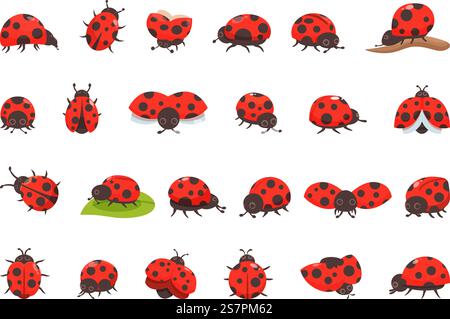 Marienkäfer Icons setzen Cartoon Vektor. Insekten. Tierflügel. Marienkäfer Icons setzen Cartoon Vektor. Insekten Stock Vektor