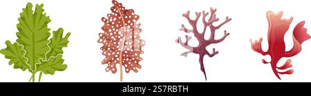 Unterwasserflora. Algensammlung im Aquarium. Natürlicher grüner und roter Seetang, Meer Ozean und Fluss exotische Blätter, kreative Dekoration, Vektor isolierte Cartoon Hand gezeichnet auf weißem Hintergrund Set. Unterwasserflora. Algensammlung im Aquarium. Natürlicher grüner und roter Seetang, Meer Ozean und Fluss exotische Blätter, kreative Dekoration, Vektor isoliert Cartoon Hand gezeichnet Set Stock Vektor
