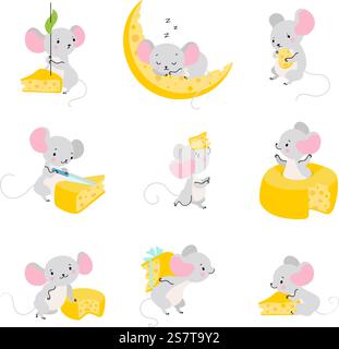 Maus und Käse. Niedliche Mäuse essen, lustige Ratten-Comicfiguren. Ratte schläft, spielt und hat verschiedene Aktivitäten. Heute Vektortiere. Illustration einer niedlichen Maus mit Käse. Maus und Käse. Niedliche Mäuse essen, lustige Ratten-Comicfiguren. Ratte schläft, spielt und hat verschiedene Aktivitäten. Heute Vektortiere Stock Vektor