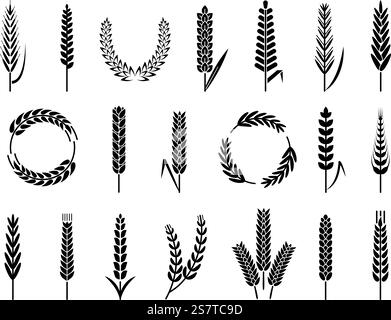 Bio-Weizen-Gerstenohren, Symbole für die Ernte der Bäckerei. Isolierte Agrarelemente. Hafer oder Malz für Bier und Brot. Anständige Vektorsilhouetten der Illustration der Weizenernte. Bio-Weizen-Gerstenohren, Symbole für die Ernte der Bäckerei. Isolierte Agrarelemente. Hafer oder Malz für Bier und Brot. Anständige Vektor-Silhouetten Stock Vektor