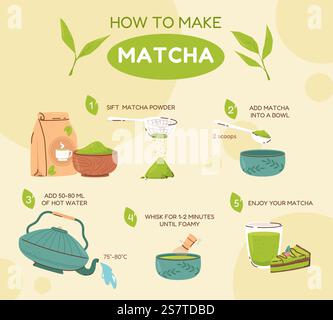 Matcha-Teeunterricht. Grünes Pulver in Schüssel, heißem Wasser und Tasse. Schritte der japanischen Trinkzeremonie. Vektorinformationen für Bio-Getränke Illustration von Teepulver japanisch. Matcha-Teeunterricht. Grünes Pulver in Schüssel, heißem Wasser und Tasse. Schritte der japanischen Trinkzeremonie. Vektorinformationen für Bio-Getränke Stock Vektor
