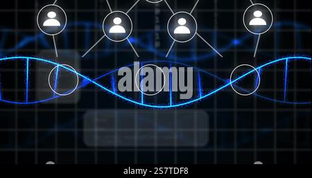 Bild der digitalen Datenverarbeitung mit einem Netzwerk von Personensymbolen über dna-Strangdrehung Stockfoto