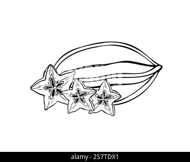 Exotische tropische Karambola-Frucht-Vektor-Illustration gemalt von schwarzen Tinten. Einfarbige ganze Lebensmittelpflanze und Scheibe in sternförmiger Gravurzeichnung Stock Vektor