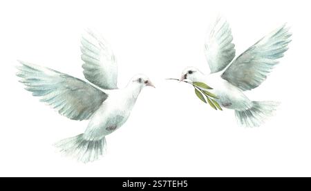 Zwei Tauben. Fliegende Taube mit olivgrünem Zweig Weiße Vögel, Symbol des Friedens, religiöses Zeichen. Aquarell handgezeichnete Illustration für die Taufe Stockfoto