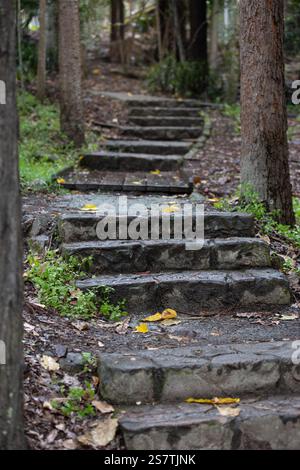 Steintreppen, die einen Waldweg mit herabfallenden Herbstblättern hinaufführen Stockfoto