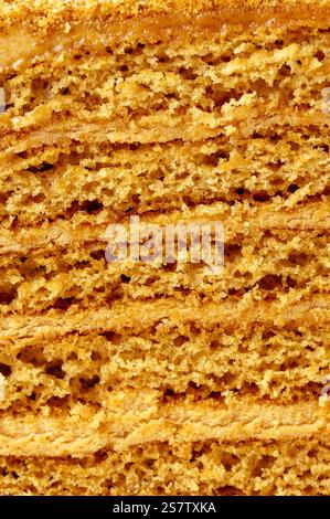 Nahaufnahme von einem Stück Dessert Stockfoto