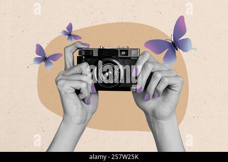 3D Collage Poster Vorlage Trend Artwork Skizze von Inkognito menschliche Maniküre Hand halten Retro Fotokamera Foto Natur Schmetterling Stockfoto