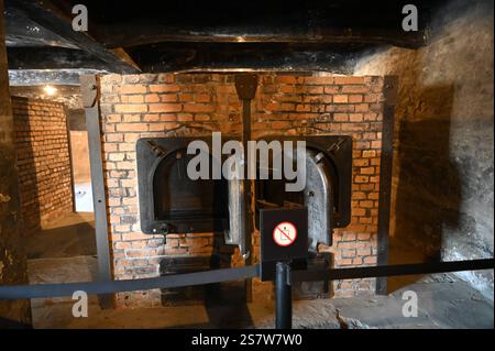 80. Jahrestag der Befreiung des deutschen Konzentrations- und Vernichtungslagers. Europas größtes Zelt für die Befreiung von Auschwitz-Birkenau. Krematorium , Stammlager I. Auschwitz I - Stammlager. Das deutsche Konzentrationslager Auschwitz I gehörte als Stammlager neben dem Vernichtungslager KZ Auschwitz II Birkenau und dem KZ Auschwitz III Monowitz zum Lagerkomplex Auschwitz und war eines der großen NS-Konzentrationslager. Es befand sich zwischen Mai 1940 und Januar 1945 nach der Besetzung Polens im annektierten südpolnischen Gebiet des deutsch umbenannten Landkreises Bielitz am südwestlich Stockfoto