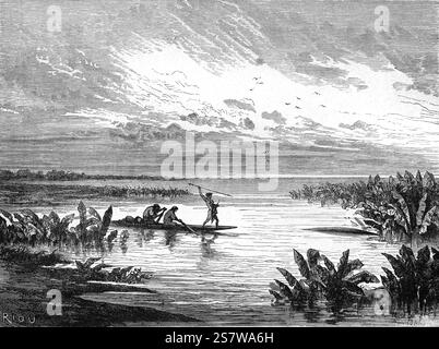 Shipibo-Conibo-Indianer oder Ureinwohner Peruaner jagen Amazonas-Seekühe, Trichechus inunguis, im Amazonasbecken. Die Shipibo-Conibo sind ein indigenes Volk Perus, das am Ucayali River im Amazonas-Regenwald Perus in Südamerika lebt. Vintage oder historische Illustration oder Gravur 1864 Stockfoto