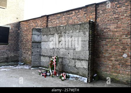 80. Jahrestag der Befreiung des deutschen Konzentrations- und Vernichtungslagers. Europas größtes Zelt für die Befreiung von Auschwitz-Birkenau. Gedenkstelle Todeswand im Hof zwischen Block 10 und Block 11, Todesblock, Stammlager I. Auschwitz I - Stammlager. Das deutsche Konzentrationslager Auschwitz I gehörte als Stammlager neben dem Vernichtungslager KZ Auschwitz II Birkenau und dem KZ Auschwitz III Monowitz zum Lagerkomplex Auschwitz und war eines der großen NS-Konzentrationslager. Es befand sich zwischen Mai 1940 und Januar 1945 nach der Besetzung Polens im annektierten südpolnischen Gebie Stockfoto