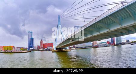 Erasmus-Brücke, Nieuwe Maas River, Moderne Architektur, Rotterdam, Holland, Niederlande, Europa Stockfoto