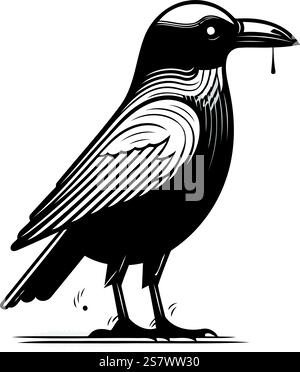 Krähe isoliert auf weißem Hintergrund. Vektorillustration im Vintage-Stil. Stock Vektor