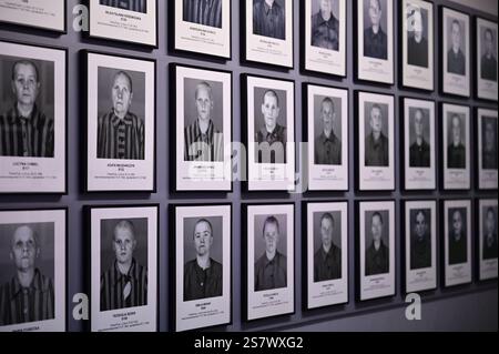 80. Jahrestag der Befreiung des deutschen Konzentrations- und Vernichtungslagers. Europas größtes Zelt für die Befreiung von Auschwitz-Birkenau. Fotografien von Häftlingen, Ausstellung, Stammlager I. Auschwitz I - Stammlager. Das deutsche Konzentrationslager Auschwitz I gehörte als Stammlager neben dem Vernichtungslager KZ Auschwitz II Birkenau und dem KZ Auschwitz III Monowitz zum Lagerkomplex Auschwitz und war eines der großen NS-Konzentrationslager. Es befand sich zwischen Mai 1940 und Januar 1945 nach der Besetzung Polens im annektierten südpolnischen Gebiet des deutsch umbenannten Landkre Stockfoto