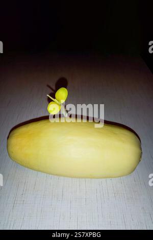 Ein Zucchini-Spross durchbricht die Zucchini-Haut aus dem Gemüseinneren. Aufnahme bei hartem Licht. Konzept des Gemüseanbaus. Stockfoto