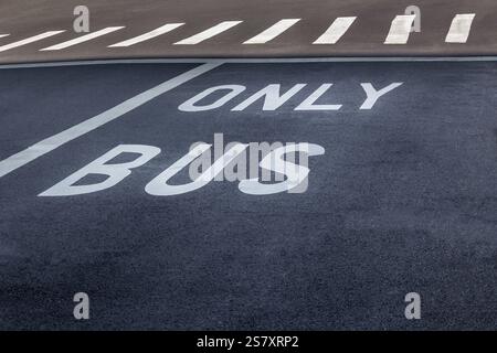 Busspur auf einer Straße mit weißen Buchstaben, die nur Busse angeben Stockfoto