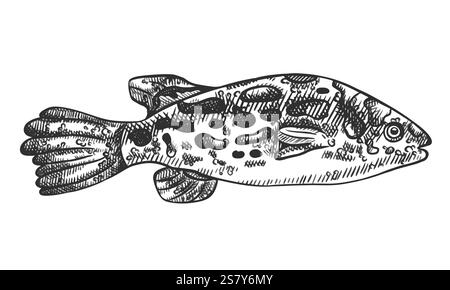 Vektor-Illustration von Steinfischen. Ein tropisches Unterwassertier. Tropisches Element der Natur. Für Postkarten, Ausdrucke. Handgezeichnet, strukturiert Stock Vektor