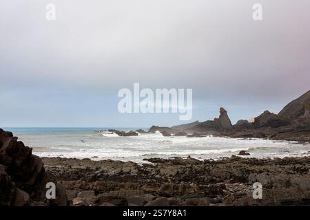 Ein nebeliger und bedeckter Tag am Warren Beach, nahe Hartland Quay, North Devon, Großbritannien Stockfoto