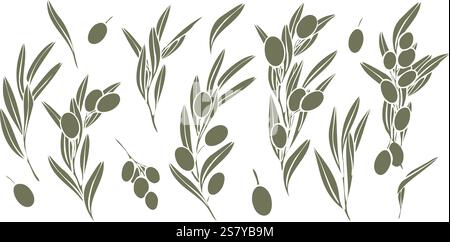 Hand gezeichnete Vektorsammlung von Olivenzweigen Silhouette mit Früchten und Blättern. Minimalistischer Stil in olivgrüner Farbe. Perfekt für Logos, Verpackungen, Stock Vektor