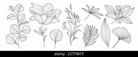 Summer Elements Drawing Clipart Set. Tropische grafische Elemente Umriss für Karten Symbol, Zeichen und Symbol Clip Kunstsammlung Vektor Illustration. Stock Vektor