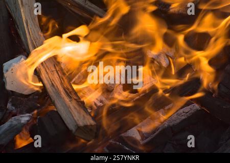 Nahaufnahme des Holzfeuers. Makrobild Stockfoto