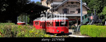 Zug vom Bahnhof Gare Chamonix Train du Montenvers in Chamonix, Haute-Savoie, Französische Alpen, Frankreich. Stockfoto