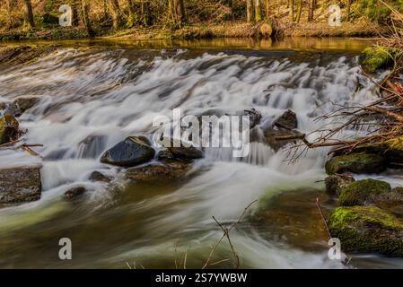 Fließendes Wasser kaskadiert über Felsen in einem ruhigen Waldbach während der goldenen Stunde Beleuchtung Stockfoto