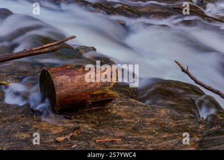 Fließendes Wasser kaskadiert über glatte Steine, umgeben von abgefallenen Ästen in einer ruhigen Waldlandschaft während des Tages Stockfoto