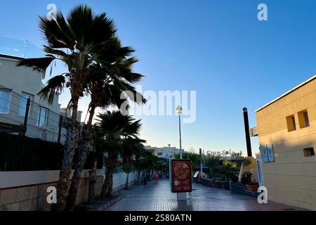 Abschnitt der von Palmen gesäumten Promenade an der Küste der Costa Adeje bei Playa de Fanabe. Teneriffa, Kanarische Inseln, Spanien. Januar 2025. Stockfoto