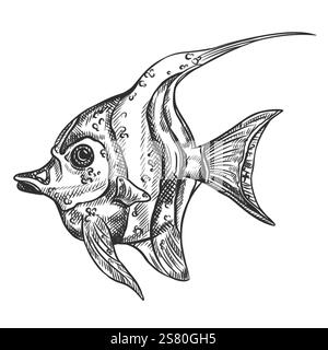 Vektor-Illustration des maurischen Idol Meeresfisches. Ein tropisches Unterwassertier. Tropisches Element der Natur. Für Postkarten, Ausdrucke. Handgezeichneter Text Stock Vektor