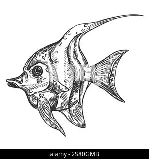 Vektor-Illustration des maurischen Idol Meeresfisches. Ein tropisches Unterwassertier. Tropisches Element der Natur. Für Postkarten, Ausdrucke. Handgezeichneter Text Stock Vektor