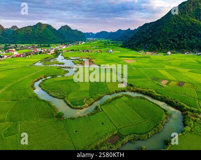 Drohnenansicht von Bac Son Reisfeld Tal bei Sonnenuntergang, lang Son, Vietnam Stockfoto