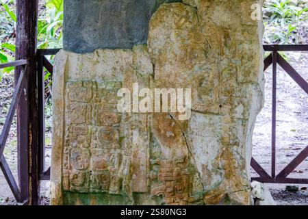 Stela 21, eine Steinplatte mit Maya-Inschriften vor den Ruinen des Templo VI. Tikal-Nationalparks, Guatemala, Mittelamerika. Stockfoto