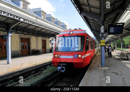 Ein SNCF-Bahnhof in Chamonix, Haute-Savoie, französische Alpen. Stockfoto