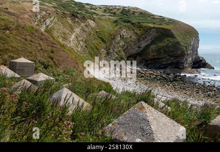 Betonabwehrabwehr, bekannt als Dragon's Teeth in Pondfield Cove auf der Isle of Purbeck, Dorset England, Großbritannien Stockfoto