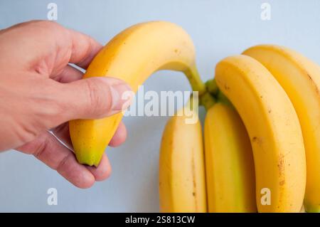 Die Hand des Mannes nimmt eine Banane aus dem Haufen. Ansicht schließen. Stockfoto