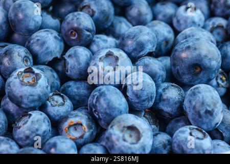 Heidelbeere. Makrotextur von Heidelbeerbeeren. Frischer Blaubeerhintergrund. Gesundes Bio-Esskonzept. Blaue Blaubeeren Nahaufnahme. Stockfoto