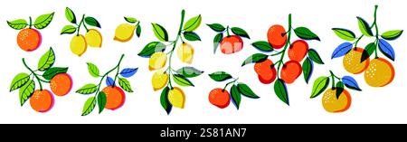 Zitrusmuster mit Riso-Motiv. Cartoon Zitronen-Orangen-Mandarinen- und Grapefruitfrüchte, farbenfrohe botanische Elemente für Saftverpackungen. Vektor-isolierter Satz. Stock Vektor