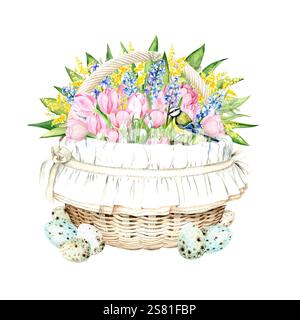 Bezaubernde Aquarellillustration einer Frühlingskomposition mit einem Korb gefüllt mit rosafarbenen Tulpen, blauen Hyazinthen, Schneeglöckchen und gelben Mimosa, dekoriert mit bemalten Eiern und einer Tulpe auf weißem Hintergrund Stockfoto