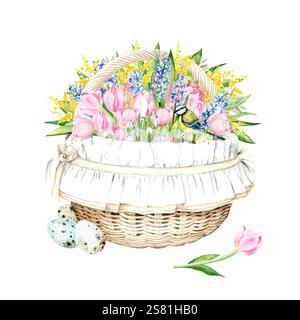 Bezaubernde Aquarellillustration einer Frühlingskomposition mit einem Korb gefüllt mit rosafarbenen Tulpen, blauen Hyazinthen, Schneeglöckchen und gelben Mimosa, dekoriert mit bemalten Eiern und einer Tulpe auf weißem Hintergrund Stockfoto