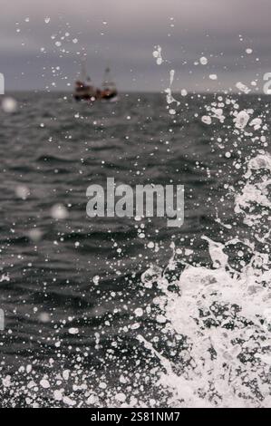Ein kleines Fischerboot navigiert durch abgehacktes Wasser und erzeugt einen Sprühnebel aus Wassertropfen und weißem Schaum. Stockfoto