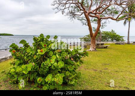 Blick auf den Biscayne Bay National Park vom Visitors Center im Januar Stockfoto