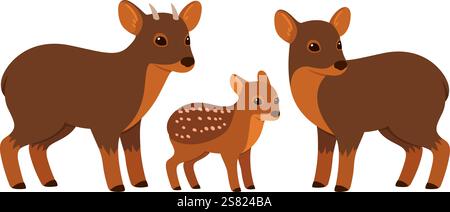 Pudu Familie, Erwachsene männlich, weiblich und Baby. Kleiner südamerikanischer Hirsch. Niedliche Zeichentrickzeichnung, Vektorillustration. Stock Vektor
